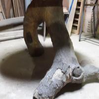 tavolo rotondo in legno naturale 