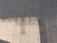 Immagine 29