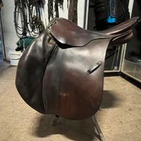 sella stubben siegfried 2