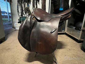 sella stubben siegfried 2