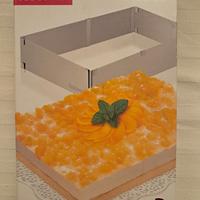 Anello regolabile per torte