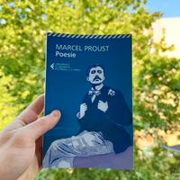 Poesie di Proust – Eleganza e Sensibilità in Versi
