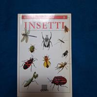 Insetti