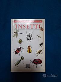 Insetti