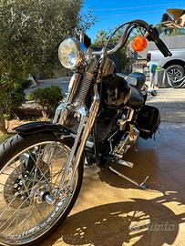 Harley-Davidson 1450 Softails springer