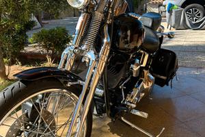 Harley-Davidson 1450 Softails springer