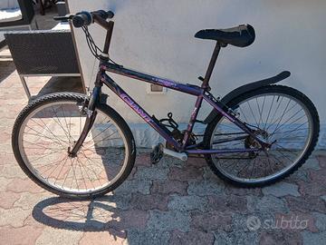 bicicletta da mare LIDO DI CLASSE.
