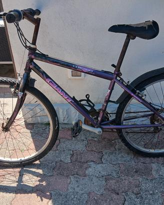 bicicletta da mare LIDO DI CLASSE.