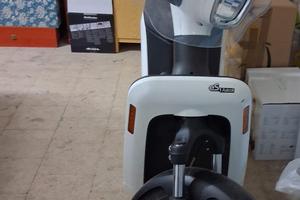 Scooter elettrico 