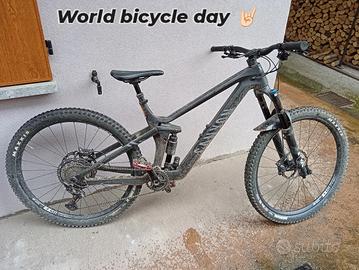 Mountain bike