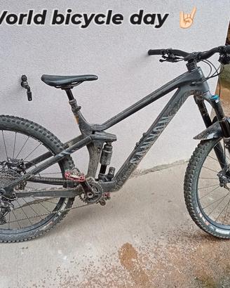 Mountain bike