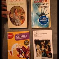 Romanzi in lingua francese 