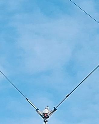 Dipolo a V per 10 / 11mt o 50mhz