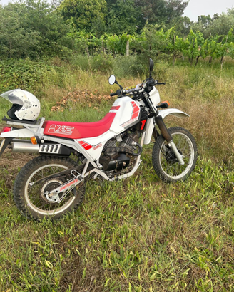 Moto Morini 350 canguro