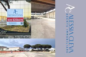 Immobile di 890 m² con 1 locale a Pomezia