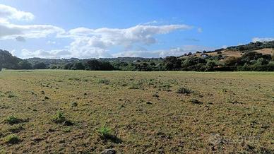 Terreno di 20000 m² a Olbia