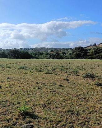 Terreno di 20000 m² a Olbia