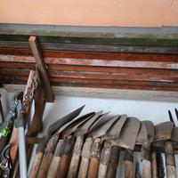 Staggie a molla