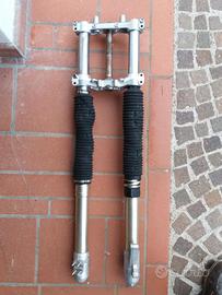 ammortizzatori Forcelle anteriori con piastre Xr25