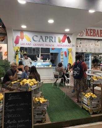 Gelateria artigianale attrezzata Igea centro