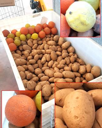 patate in plastica per taratura macchinari usate
