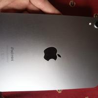 iPad mini a 17 pro 