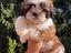 Immagine 1
