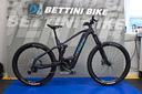 e-bike-haibike-allmin-cf11