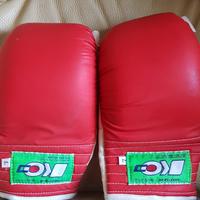 Guanti da karate per adulto