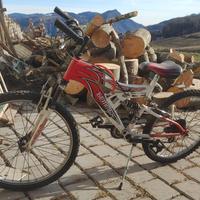 bicicletta in buono stato