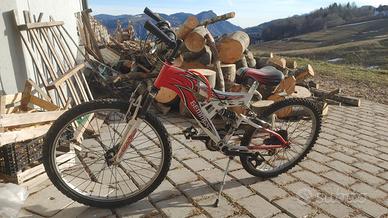 bicicletta in buono stato
