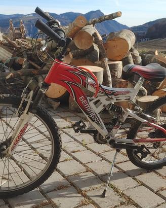 bicicletta in buono stato