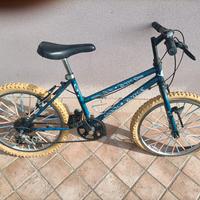 Bicicletta da Bambino