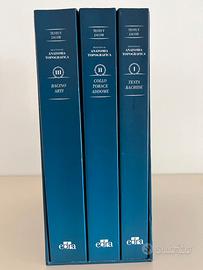 Trattato di Anatomia Topografica (Testut, Jacob)