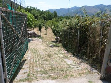 Frutteto, terreno,giardino