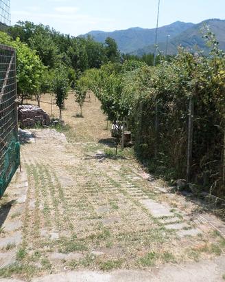 Frutteto, terreno,giardino