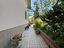 Immagine 12