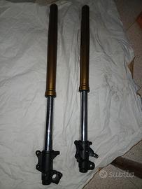 forcelle tenere 700 world raid 2023