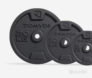 dischi in ghisa decathlon 