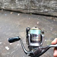 Mulinello Daiwa