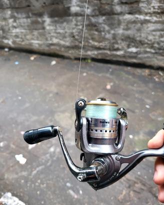 Mulinello Daiwa