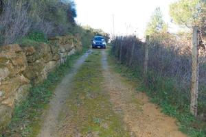 RGE 22/2014 Trib ENNA - LOTTO 1