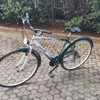 2 biciclette citta adulto