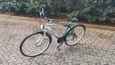 2 biciclette citta adulto