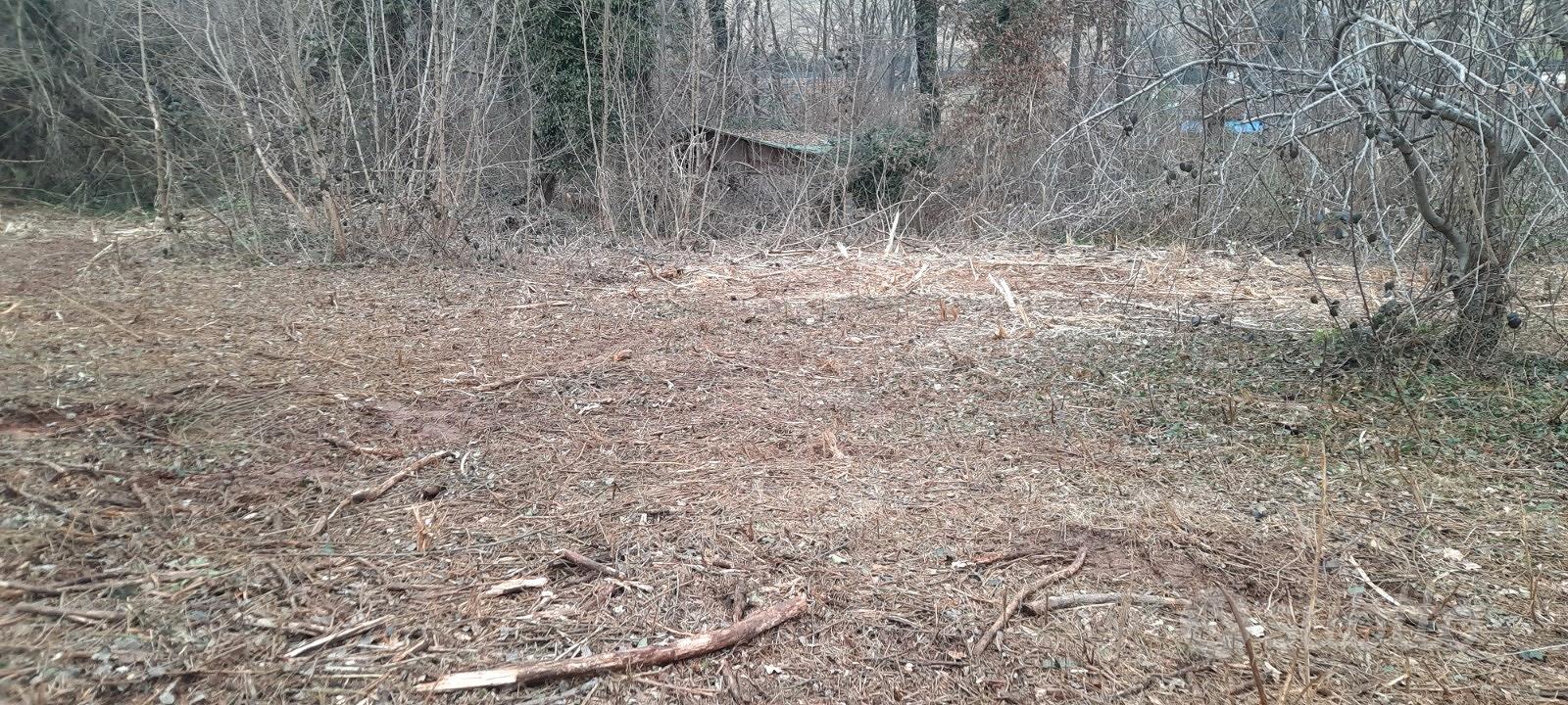 Terreno agricolo - Vista 2