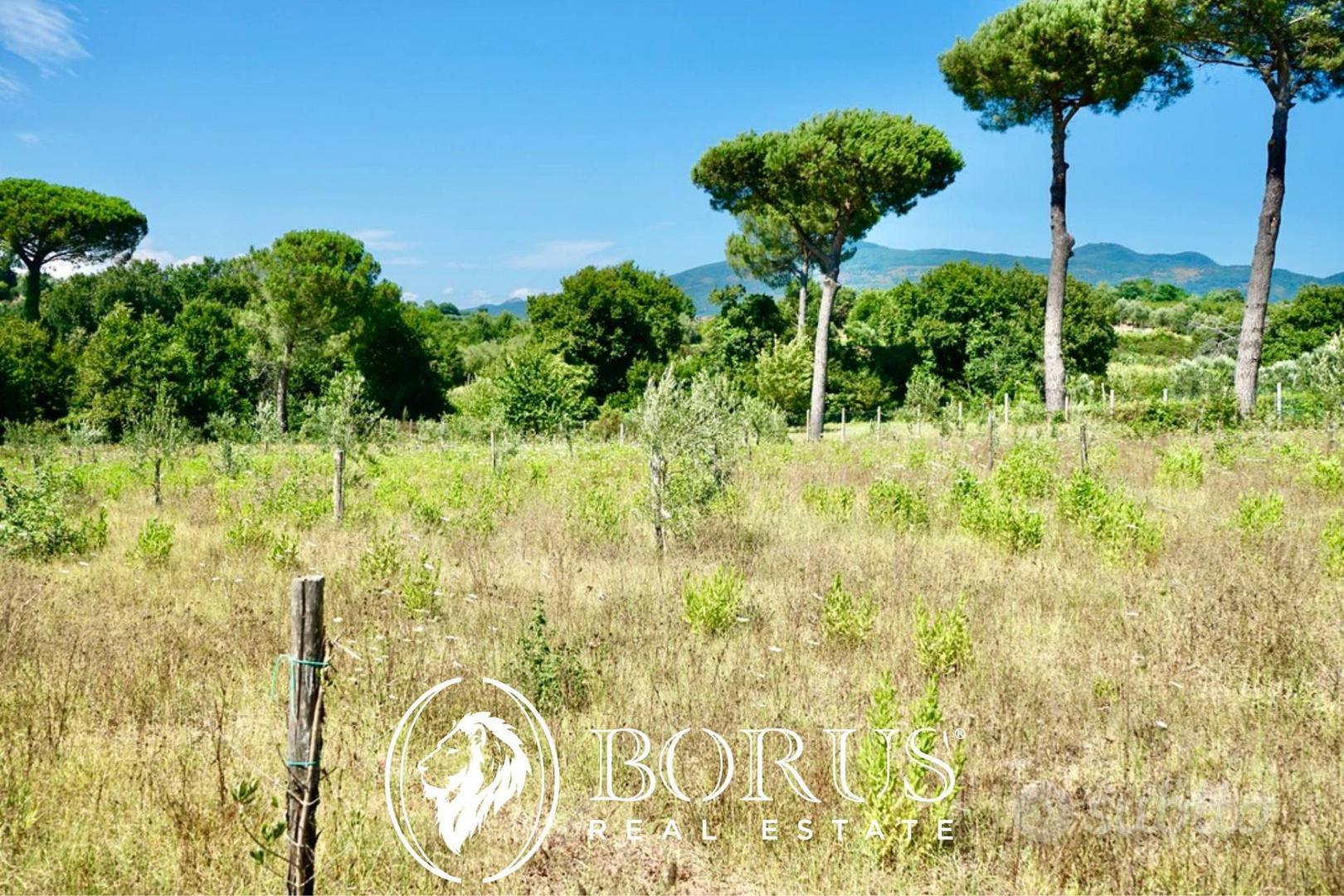 Terreno Agricolo - Sessa Aurunca - Vista 6