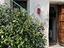 Immagine 28