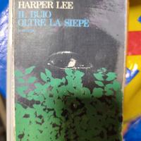 Il buio oltre la siepe