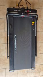 TAPIROULAN CARNIELLI