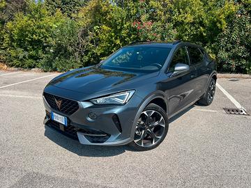 Cupra Formentor 2.0 TDI 150 CV 4Drive DSG